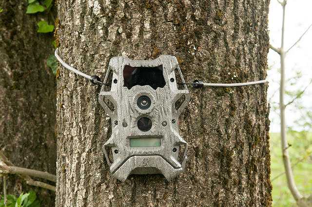 Wildgame Innovations Cloak Pro 10 Lightsout Wildlife Camera