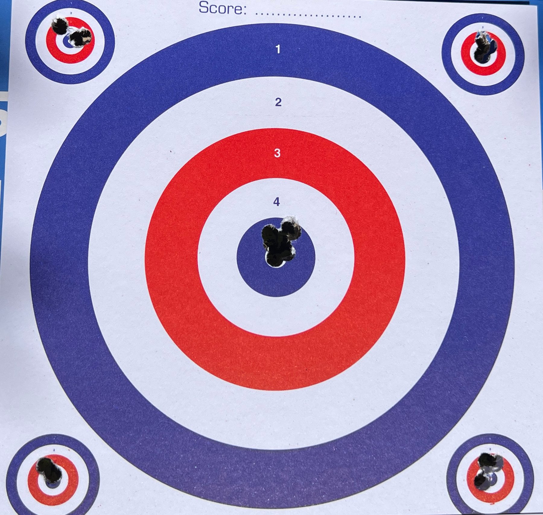A single ragged hole shot at 10 metres with the Anschütz 9015