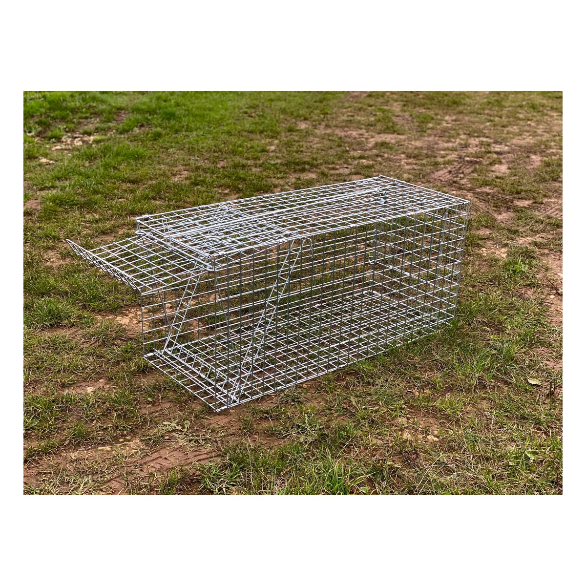 Collins Nets single-entry live catch fox box trap set out on grass