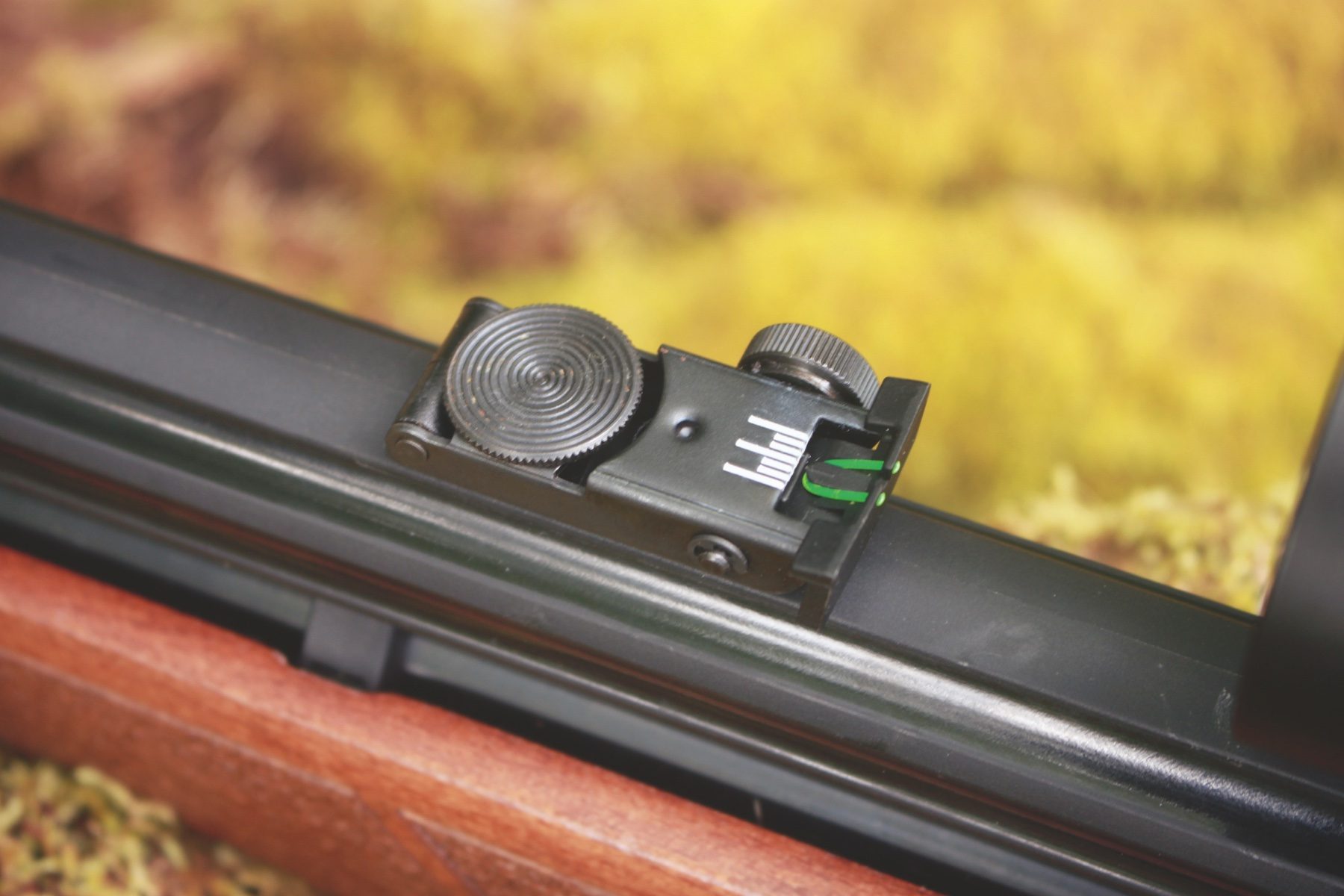 Adjustable rear open sight on the Gamo Riser Punisher
