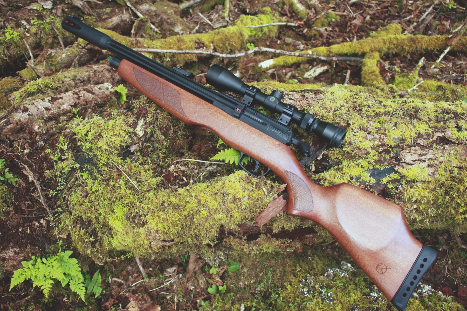 Gamo Riser Punisher PCP air rifle with 3-9x40 scope fitted