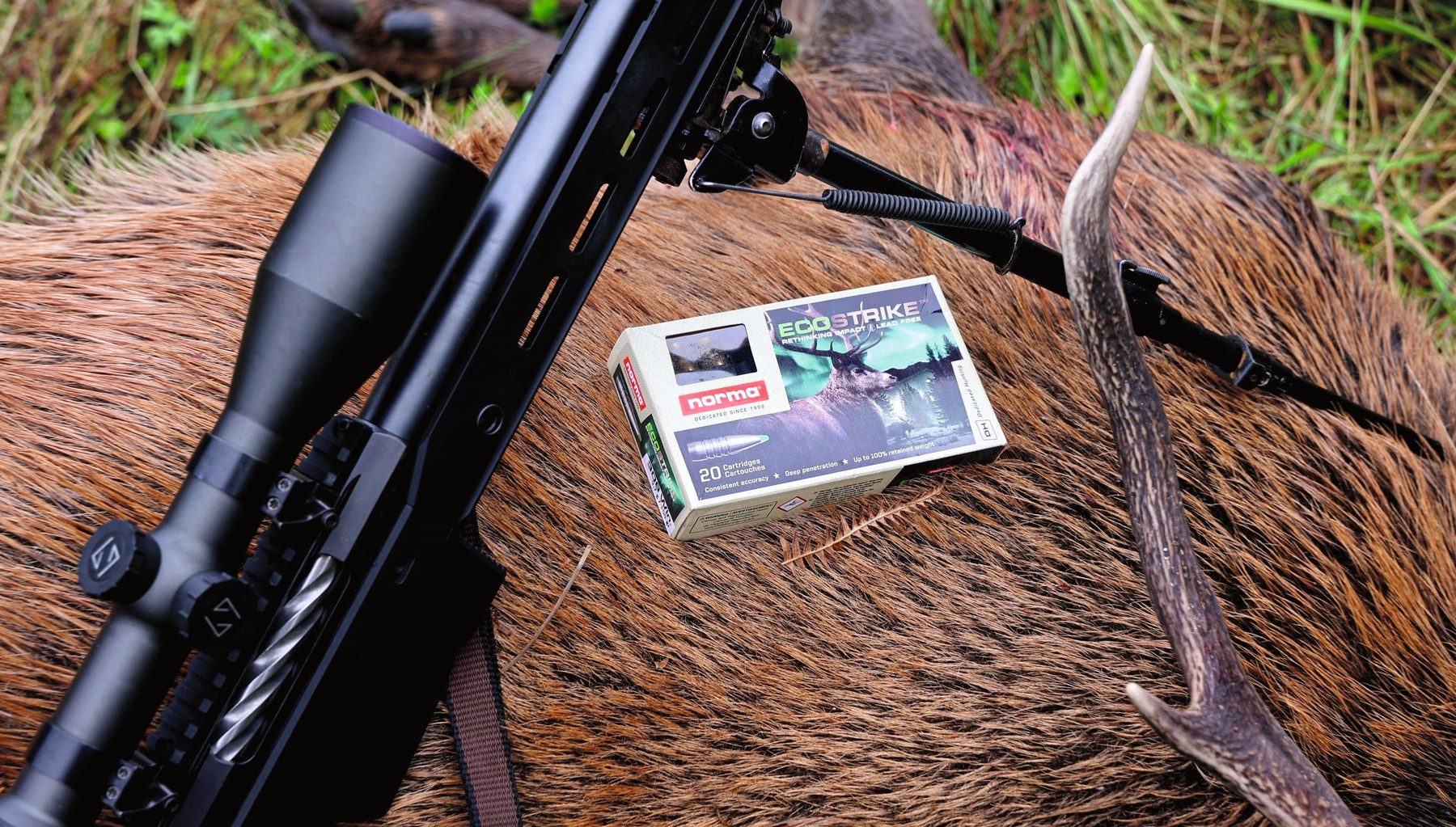 A box of Norma EcoStrike .308 Win ammunition resting on the flank of a red stag beside the rifle