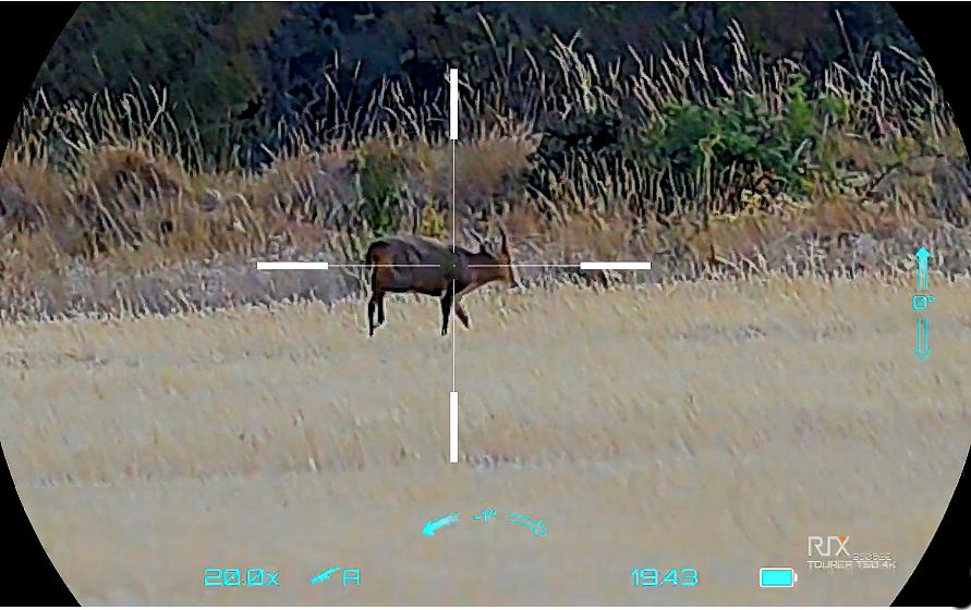View through the RIX Tourer T50 4K showing a muntjac on stubble at 170 yards in Day-Vivid mode at 20x