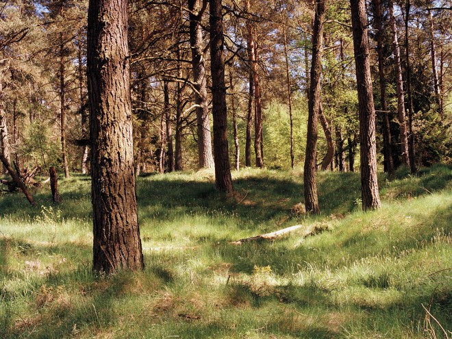 When you go down to the woods today there are more things to worry about than teddy bears