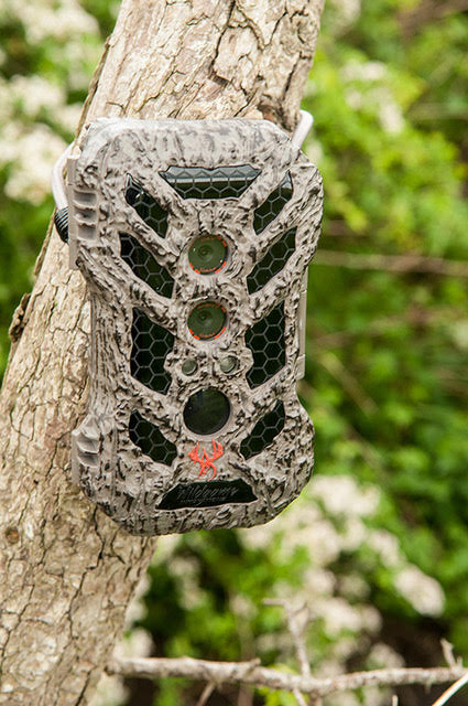 Wildgame Innovation Silent 20 Crush Lightsout