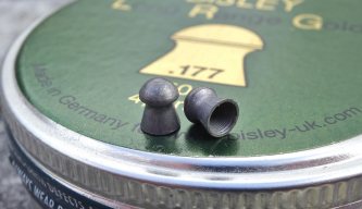 PELLET TEST - Bisley Long Range Gold Pellets